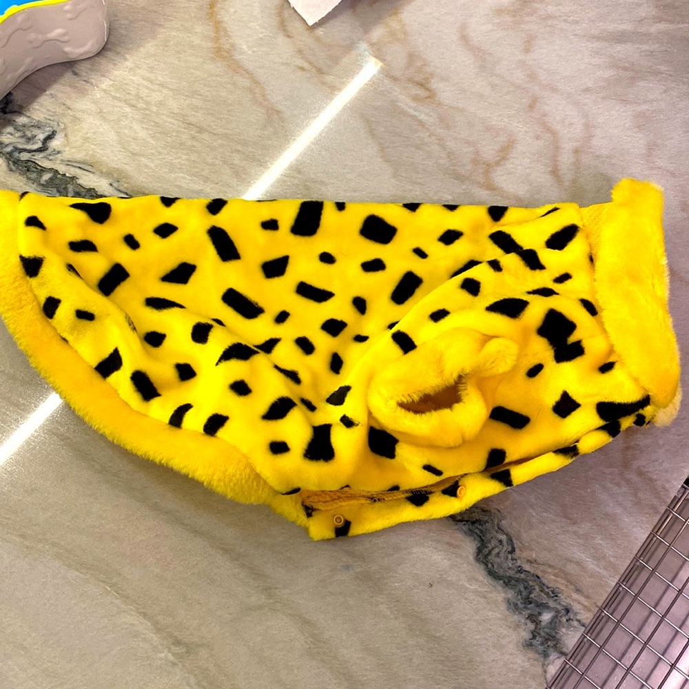 Flintstone Dog Costume